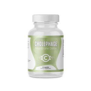 Cholephage | Lipid exchange protocol (liposomal)